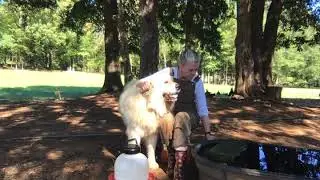 Algae prevention in waterers