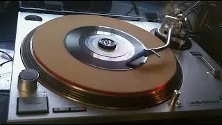 One Way Or Another l Blondie l 1979 l Scratchy l Styrene