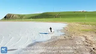 Nature's artistry: Mesmerizing 