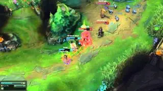 Poppy Support In a Nutshell