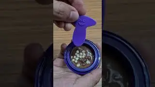 Cadbury Dairy Milk Lickables - Chocolate - YUMMY!!!