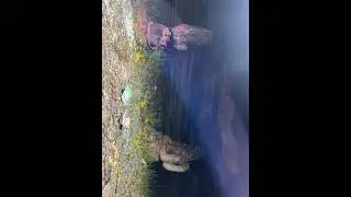 Nepal waterfall n cave