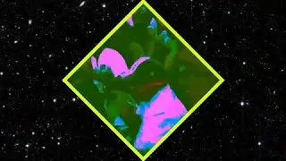 Fiteck - In$&ocirc;nia (prod. Fiteck)