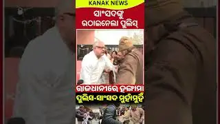 ବଡ଼ ହଙ୍ଗାମା High Drama in Delhi As TMC MPs Dragged Away, Detained | Mamata Banerjee