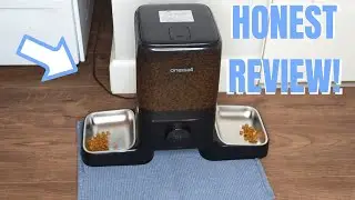 oneisall 2-Cat Feeder Review &ndash; Best Automatic Feeder for Multi-Cat Homes? #PetFeeder