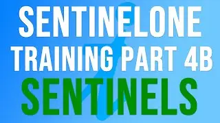 SentinelOne Training | Part 4b - SENTINELS