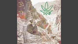 the thousand spliffs stare