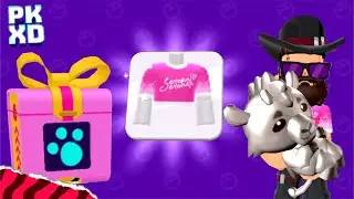 PK XD CAIXA SECRETA ESPECIAL 🎁 CAMISA GRÁTIS SERENA SERENATA E PETS XDHYPE chegaram