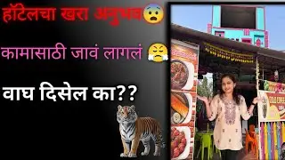टायगर दिसला का ?😱 | प्रवास, हॉटेल रिव्ह्यू आणि जंगलातील थरार 🐅”#youtube #ytshorts #travando #jungle 