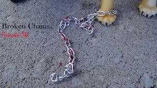 Broken Chains Episode 18: The Beginning of the End (Schleich Cat Movie)