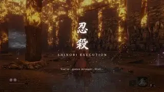 Sekiro: shinobi execution