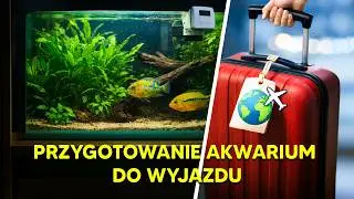 JAK PRZYGOTOWAĆ AKWARIUM DO WYJAZDU?
