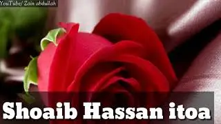 Shoaib Hassan itoa Name WhatsApp status ❤❤❤❤