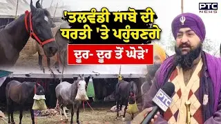 Talwandi Sabo Horse Show : 'ਤਲਵੰਡੀ ਸਾਬੋ ਦੀ ਧਰਤੀ 'ਤੇ ਪਹੁੰਚਣਗੇ ਦੂਰ- ਦੂਰ ਤੋਂ ਘੋੜੇ'