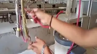 Isolation of Piperine from black Pepper