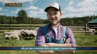 Agricoltura, pesca, carrello della spesa, mare, ricambio generazionale - Agrifood Magazine