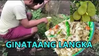 Cooking Jack Fruit (gintaan langka)