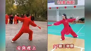 杨氏28式太极扇正背面分解教学