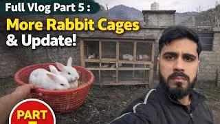 Full vlog part 5 : More Rabbit Cages & Update! #dailyvlog 