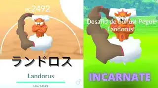 POK&Eacute;MON GO INCARNATE LANDORUS  ランドロス Landlos | D&eacute;m&eacute;t&eacute;ros | Demeteros |랜드로스 | 土地雲 / 土地云 | แลนโดลอส