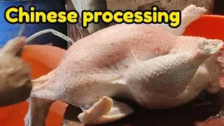 Wow amazing chicken processing ✅Super fast chicken processing ✅ joy cutting point 