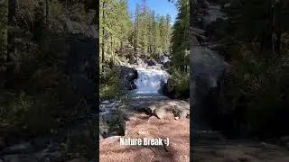 Nature break! #shorts  #nature #waterfall #mentalhealth #fypシ