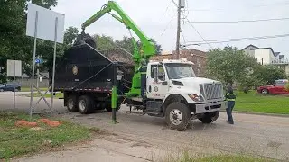 On trees waste 52446