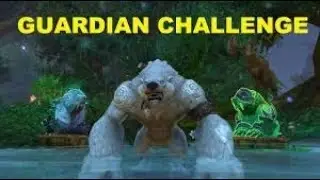Guardian Druid Mage Tower Challenge - NO luffa NO legs