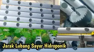 Menanam sayur hidroponik | cara melubangi pipa paralon