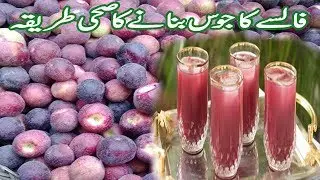 Falsa Juice Banane Ka Sahi Tarika | Falsa Juice Recipe | Falsay Ka Sharbat Recipe