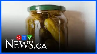 Tariffs making Bick&rsquo;s Pickles &lsquo;too expensive to shelf&rsquo; in Canada | Treehouse Foods Inc. CEO