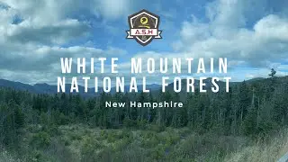 White Mountain National Forest