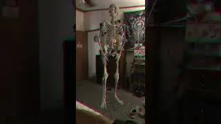 Skeleton dance: a visual metaphor for internal struggle#skeleton #dance #innerturmoil