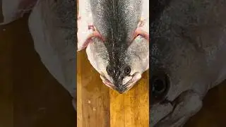 how to BUTTERFLY a fish 🦋🐟(fish cleaning 101) #fishing