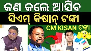 CM KISAN ଟଙ୍କା ଆସିଲା ନାହିଁ କାହିଁକି ❌ କଣ କଲେ ଆସିବ ✅ ଭୂମି ହିନ କେତେ ଆସିଲା ✅Cm Kisan not received money