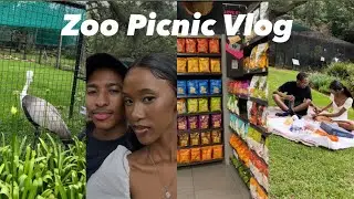 Picnic Vlog | Picnic Date 🧺 | budget for picnic |Couple content | outdoor date | couple vlogs | zoo