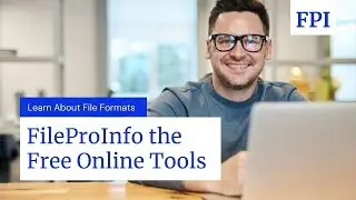 What is File and their Related Software Programs and Free Online Tools for Teachers