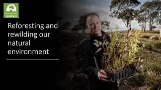 Welcome to Boonah and District Landcare