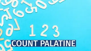 Count palatine