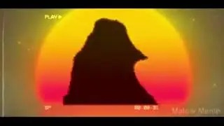 Blinding lights- cat remix (extended for no reason)