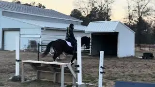 Family Jet 01/21/26