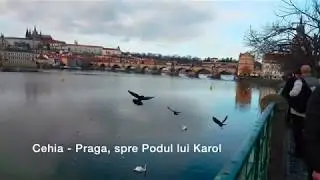 Czech Republic/Praga, in drum spre Podul lui Carol