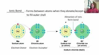 Chapter 2 Chemical Principles