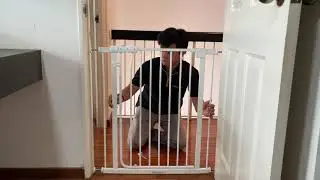 Bonbijou Auto Close Gate (How To Install)