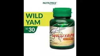 Nutrimax Wild Yam Extract Original BPOM - Vitamin Untuk/Buat Kejantanan Kesuburan Pria
