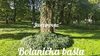 Botanička bašta 