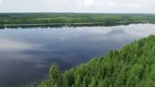 UPM Bonvesta myyntikohde Viitasaari Luotolansaari Yl&auml;-Keitele