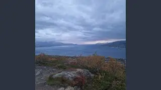 Livets årstide- versjon 1