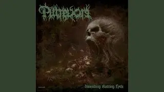 Unending Rotting Cycle