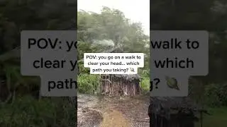 POV: you go on a walk to clear your head&hellip; which path are you taking ? 🪐 #shorts #trending